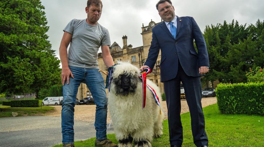 Palé Hall director Calum Milne (right) and farm manager Mark Tustain with Valais Blachnose female champion, Ayrshire Ingrid with the hall in the background.
