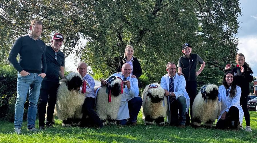 Anthony Cooper-Barney (second from left) and farm manager Mark Tustain (far left) with the Valais Blacknose sheep and the sellers at Carlisle.
