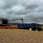 Crop of Bamford grown by Aberdeenshire farmer Scott Campbell of Kirkton won best winter wheat by the Royal Northern Agricultural Society. 