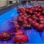 NFU president Tom Bradshaw and NFU Horticulture and Potatoes Board vice chair Stephen Shields visited a UK horticulture business in the state of New York that processes and sells beetroots. 