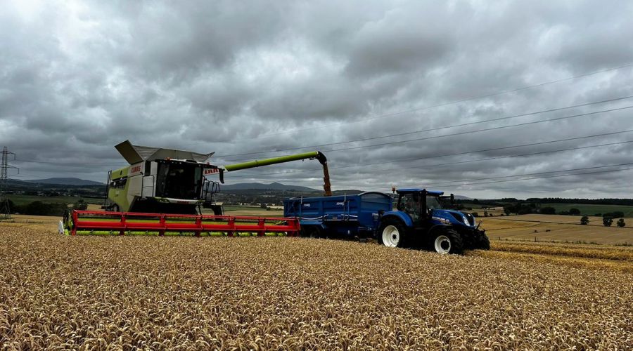 Crop of Bamford grown by Aberdeenshire farmer Scott Campbell of Kirkton won best winter wheat by the Royal Northern Agricultural Society. 