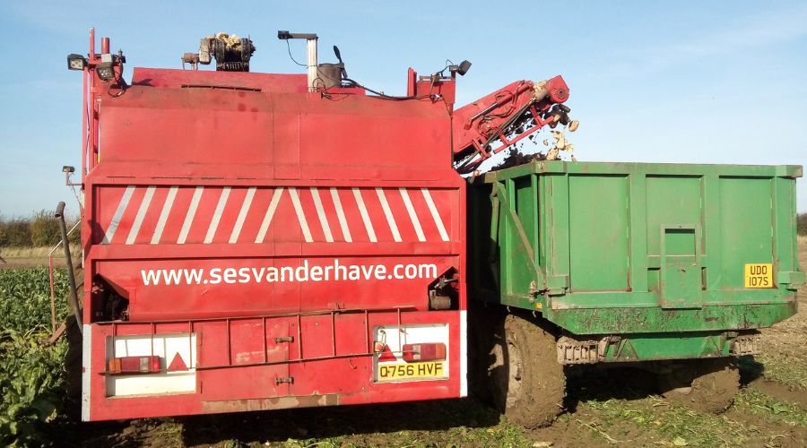 Early signs from both trials and commercial crops are that sugar beet is performing well, says SESVanderHave trials manager, Wayne Tonge.