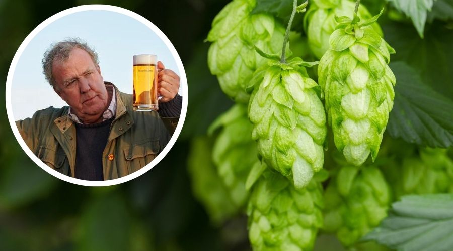 Hawkstone brewery, owned by the star of Clarkson’s Farm, Jeremy Clarkson, has announced the launch of its latest beer, Hawkstone Harvest. 