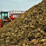 British Beet Research Organisation (BBRO) has announced a number of changes to its team to shape the future of the company. 