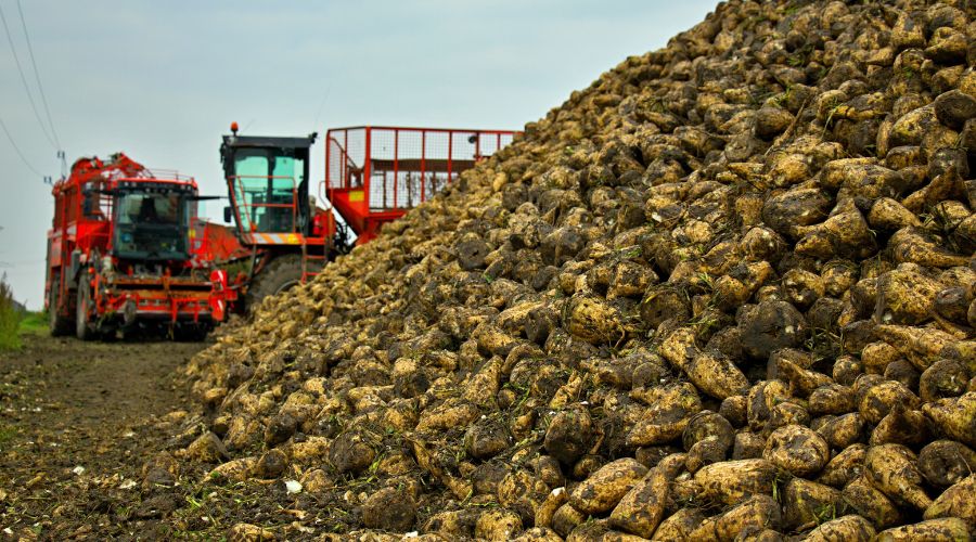 British Beet Research Organisation (BBRO) has announced a number of changes to its team to shape the future of the company. 