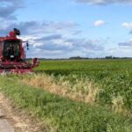 Alex Wilcox of Hill Farm in Stowbridge, Norfolk, has already lifted 25ha out of 40ha of his sugar beet and delivered them to be processed.   