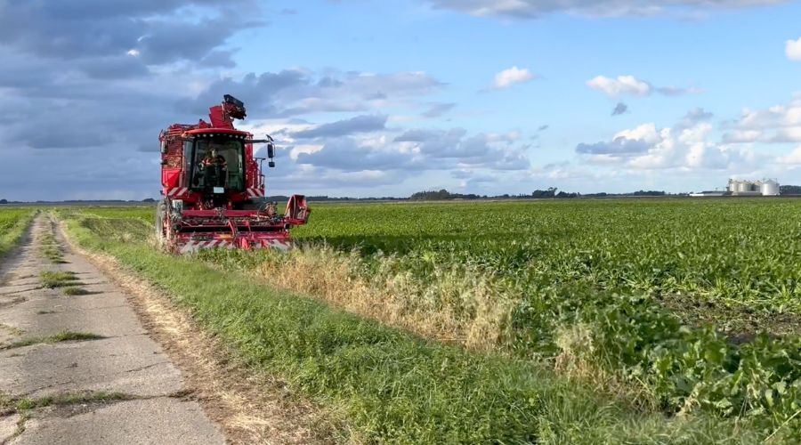 Alex Wilcox of Hill Farm in Stowbridge, Norfolk, has already lifted 25ha out of 40ha of his sugar beet and delivered them to be processed.   