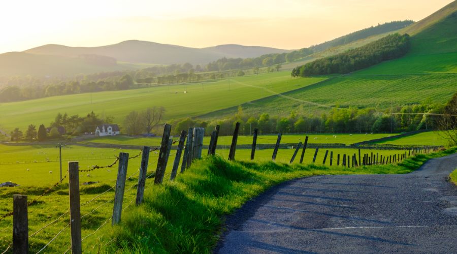 rural setting with fence acting as rural border