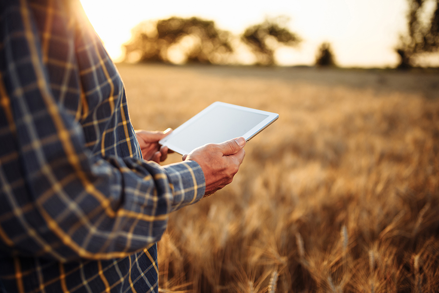 farmer using a tablet for business in a field