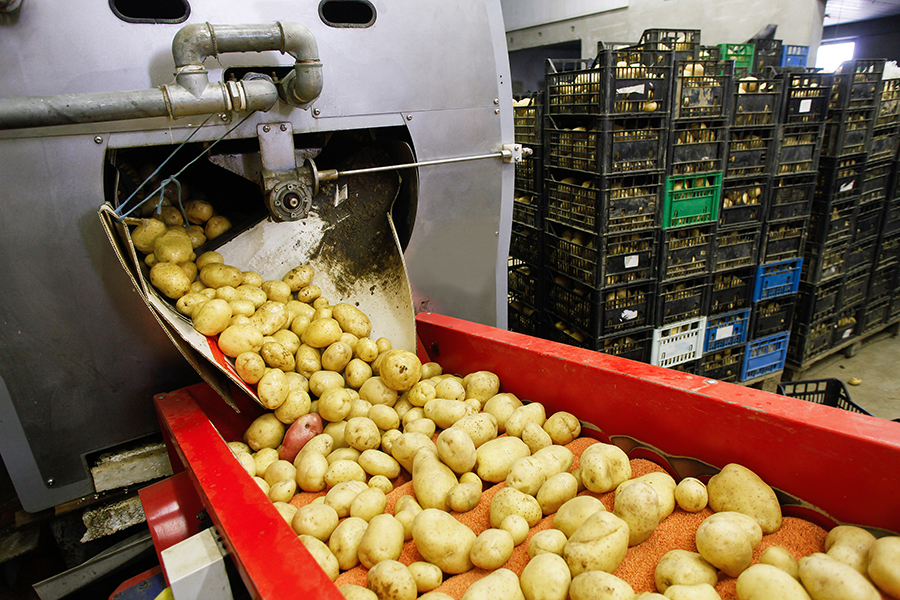 potato washer