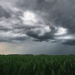 Farmers have been warned by Met Office to protect their farms as Storm Ashley is set to bring strong winds and heavy rain to the UK. 