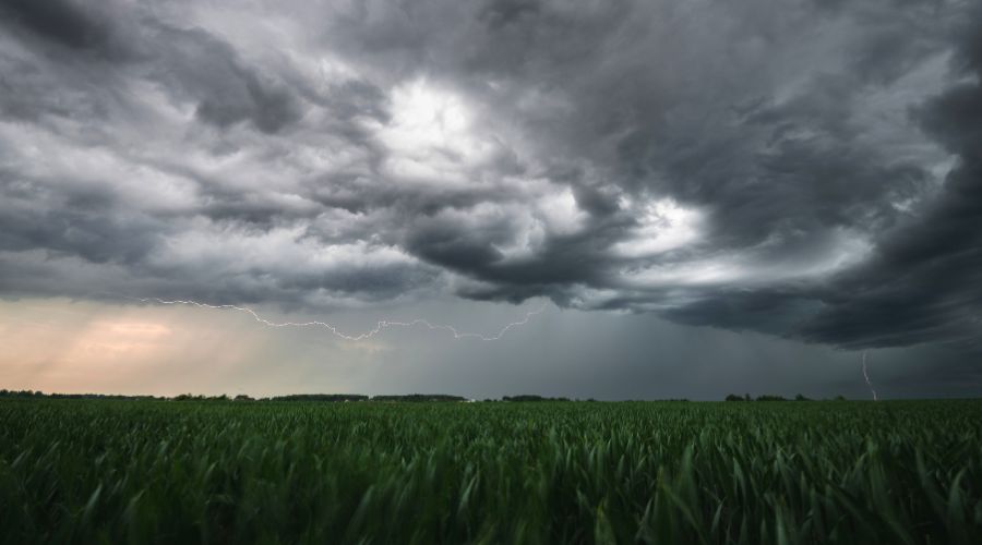 Farmers have been warned by Met Office to protect their farms as Storm Ashley is set to bring strong winds and heavy rain to the UK. 