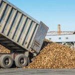 Sugar beet fell from a lorry, damaging a car in near Lingwood, located approximately eight miles east of Norwich, Norfolk.