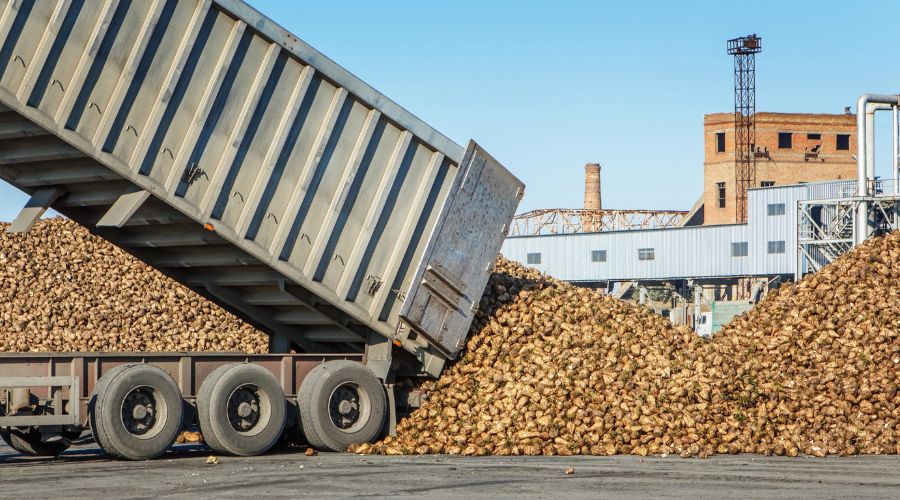 Sugar beet fell from a lorry, damaging a car in near Lingwood, located approximately eight miles east of Norwich, Norfolk.