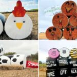 Displays of bale art are appearing in fields throughout Scotland as part of an initiative by the Scottish Association of Young Farmers Clubs.