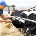 Agricultural supply chain adjudicator, Richard Thompson, who enforces the Fair Dealings Obligations (Milk) Regulations spoke about his role.