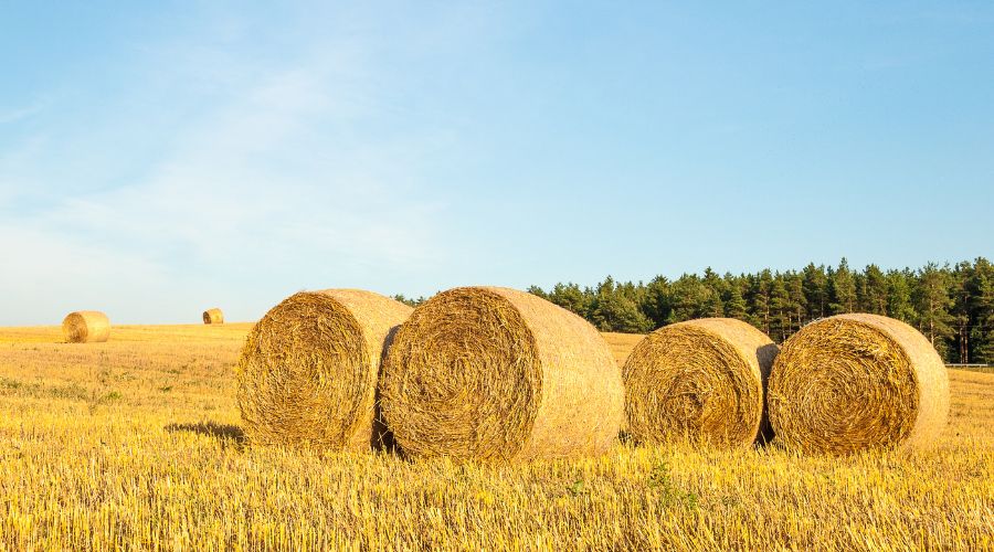 Scottish Borders police are appealing for information after 70 hay bales were set alight at a farm in Earlston, Berwickshire. 