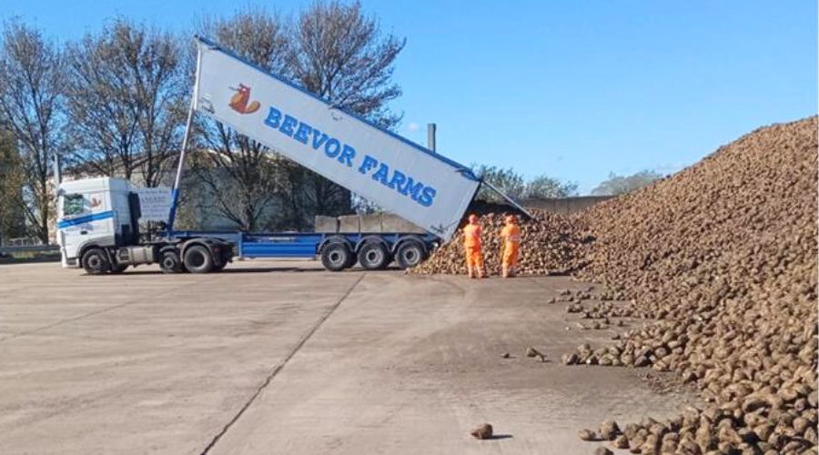 The sugar beet campaign is in “full swing” as all of the factories are now open and ready for beet intake, British Sugar confirmed.  