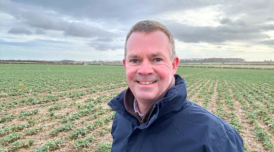 Yara’s arable expert shared advice on autumn nutrition for OSR and winter cereals, discussing what growers should be doing to improve yields.