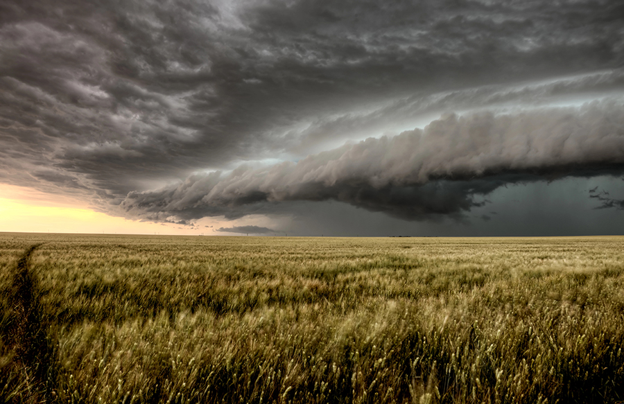 storm clouds over crop field