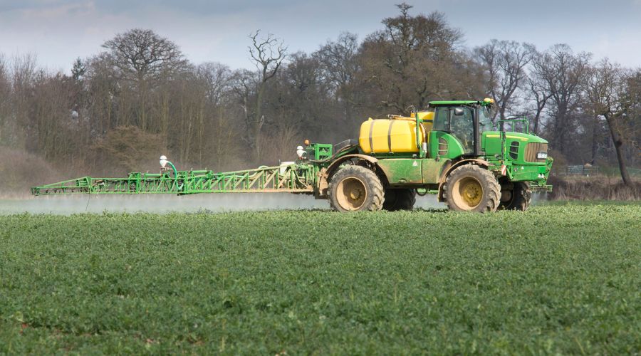 Corteva Agriscience warns farmers that weeds are continuing to emerge and grow in oilseed rape crops due to unseasonably mild temperatures.  