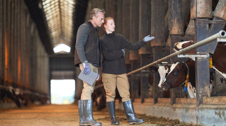 Farmers are warned that RSPCA Assured will ‘significantly’ increase the number of announced and unannounced farm visits.