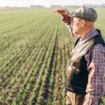 The impact of Chancellor Rachel Reeve’s Budget statement could be wide-ranging for rural and agricultural businesses, Carter Jonas warns.