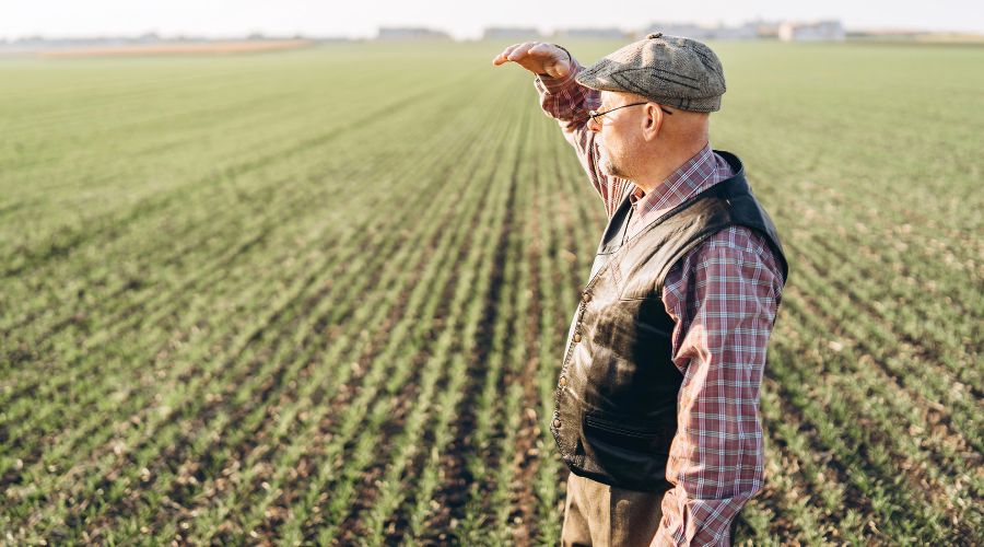 Budget 2024 Farmers need clarity and protection Farmers Guide