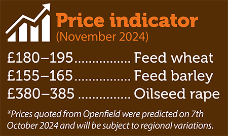 Price indicator for November 2024