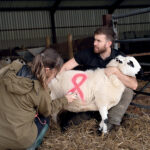 Sheep with Pink Ribbon Foundation logo