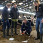 Arla Foods created a new collective project with Morrisons, Tesco and Aldi to trial the use of a feed additive to tackle methane emissions.  