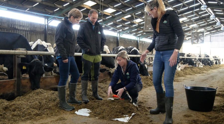 Arla Foods created a new collective project with Morrisons, Tesco and Aldi to trial the use of a feed additive to tackle methane emissions.  