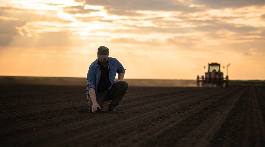 Changes to inheritance tax announced by Rachel Reeves could place an “overwhelming financial burden” on UK family farms, according to CLA.