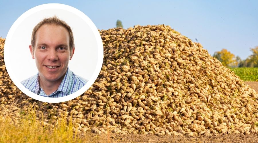 British Sugar confirmed that this year’s campaign is “progressing well”, with over 2.5 million tonnes of sugar beet having already been processed. 