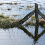 Farmers impacted by severe wet weather will soon receive payments from the £60 million Farming Recovery Fund. 