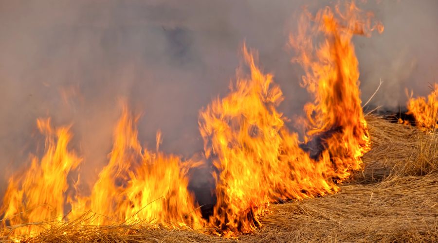 Farm fires were larger-scale and costlier in nature last year, new figures from rural insurer NFU Mutual have revealed.