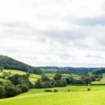 Welsh government proposals for the Sustainable Farming Scheme (SFS) have been warmly welcomed by the Welsh farming community.