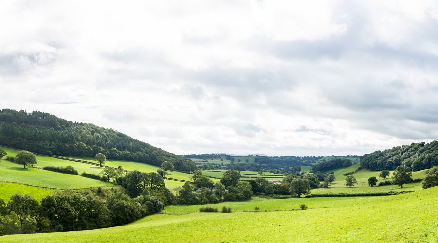 Welsh government proposals for the Sustainable Farming Scheme (SFS) have been warmly welcomed by the Welsh farming community.