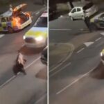 Surrey Police confirmed that officer who took part in the cow incident in Staines-upon-Thames this summer has been cleared of wrongdoing. 