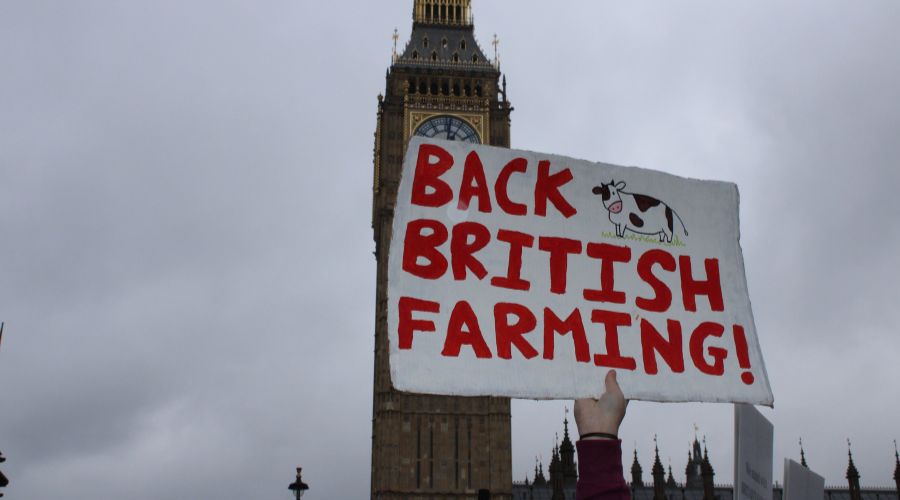 farmer holding a sign up saying Back British Farming, with big ben in the background