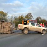 Staffordshire Fire and Rescue said that five cattle have been involved in a road traffic incident on the M6 at junction 13.