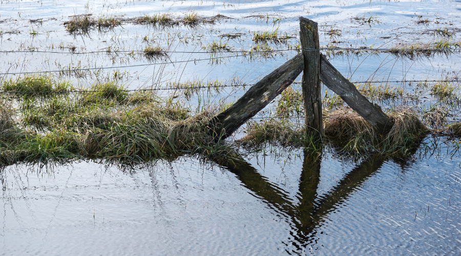 Farmers impacted by severe wet weather will soon receive payments from the £60 million Farming Recovery Fund. 