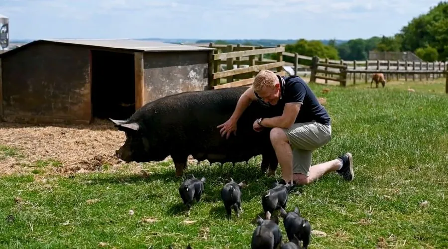 Adam Henson has shared with readers of Christmas On The Farm a situation that happened during the Countryfile Christmas party. 