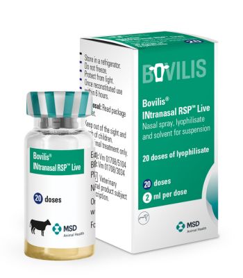 vial of vaccine next to green Bovilis box