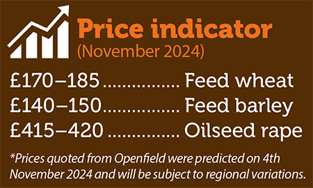 Price indicator for November 2024