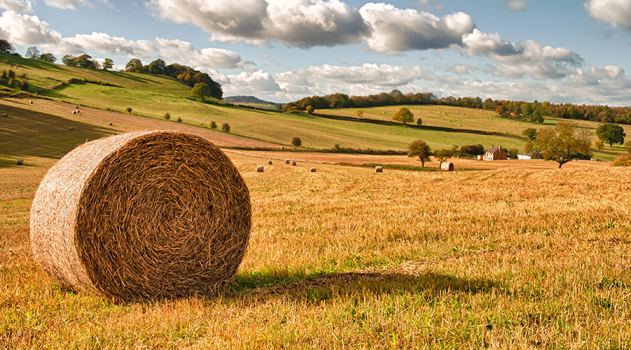 Round bale in field