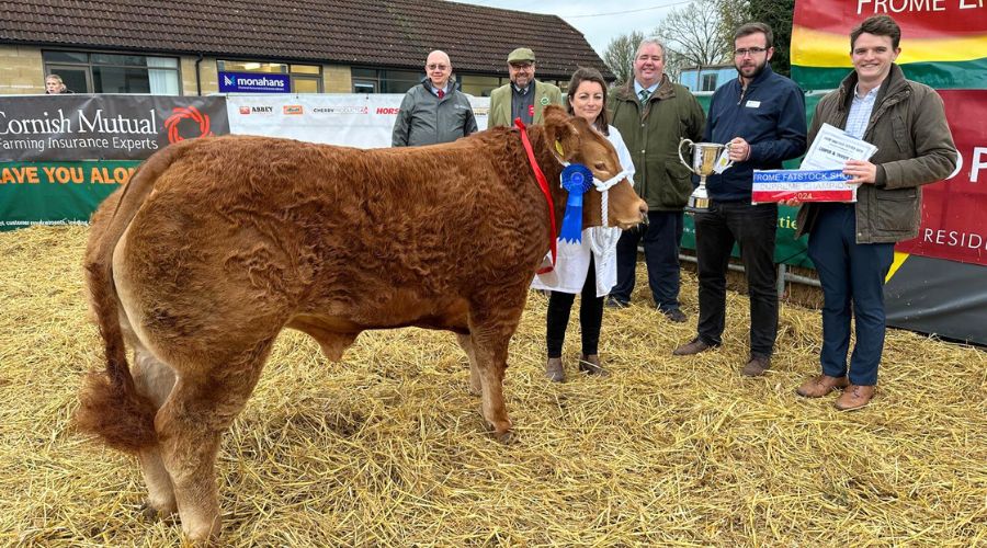 The 124th edition of the Annual Christmas Fatstock Show and Sale, showcased Fatstock Society’s excellent entries in all sections.  