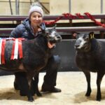 woman sitting with two black sheep in a show ring