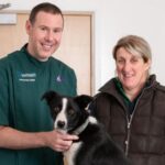 Farmers are being warned to take extra care with medications after a working sheepdog swallowed a hormone implant used on sheep.