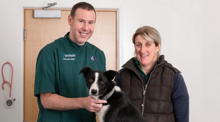 Farmers are being warned to take extra care with medications after a working sheepdog swallowed a hormone implant used on sheep.